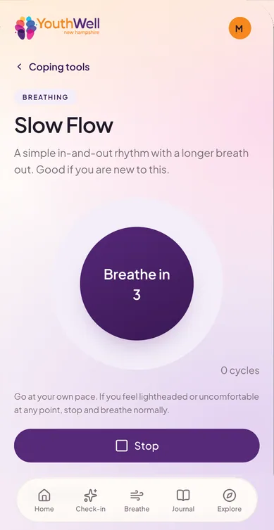 Slow Flow running: a violet orb reading “Breathe in, 3”, a cycle counter, the safety line about going at your own pace, and a Stop button.
