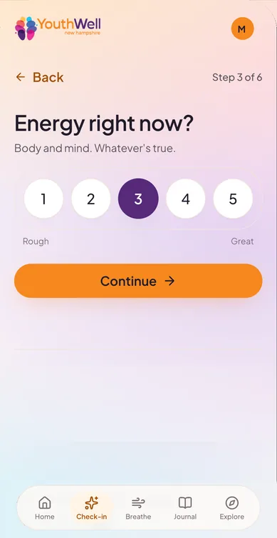 Check-in step 3 of 6, “Energy right now?”, a 1 to 5 scale with 3 selected.